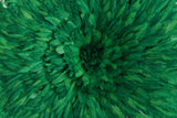 Juju hat Cameroun vert