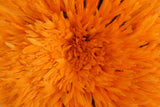 Juju hat Cameroun orange