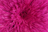 Juju hat Cameroun Fuchsia